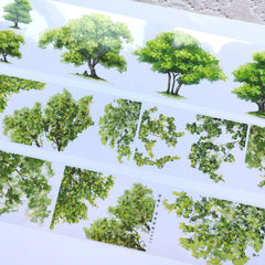 Trees with Leaves 1 PET Tape