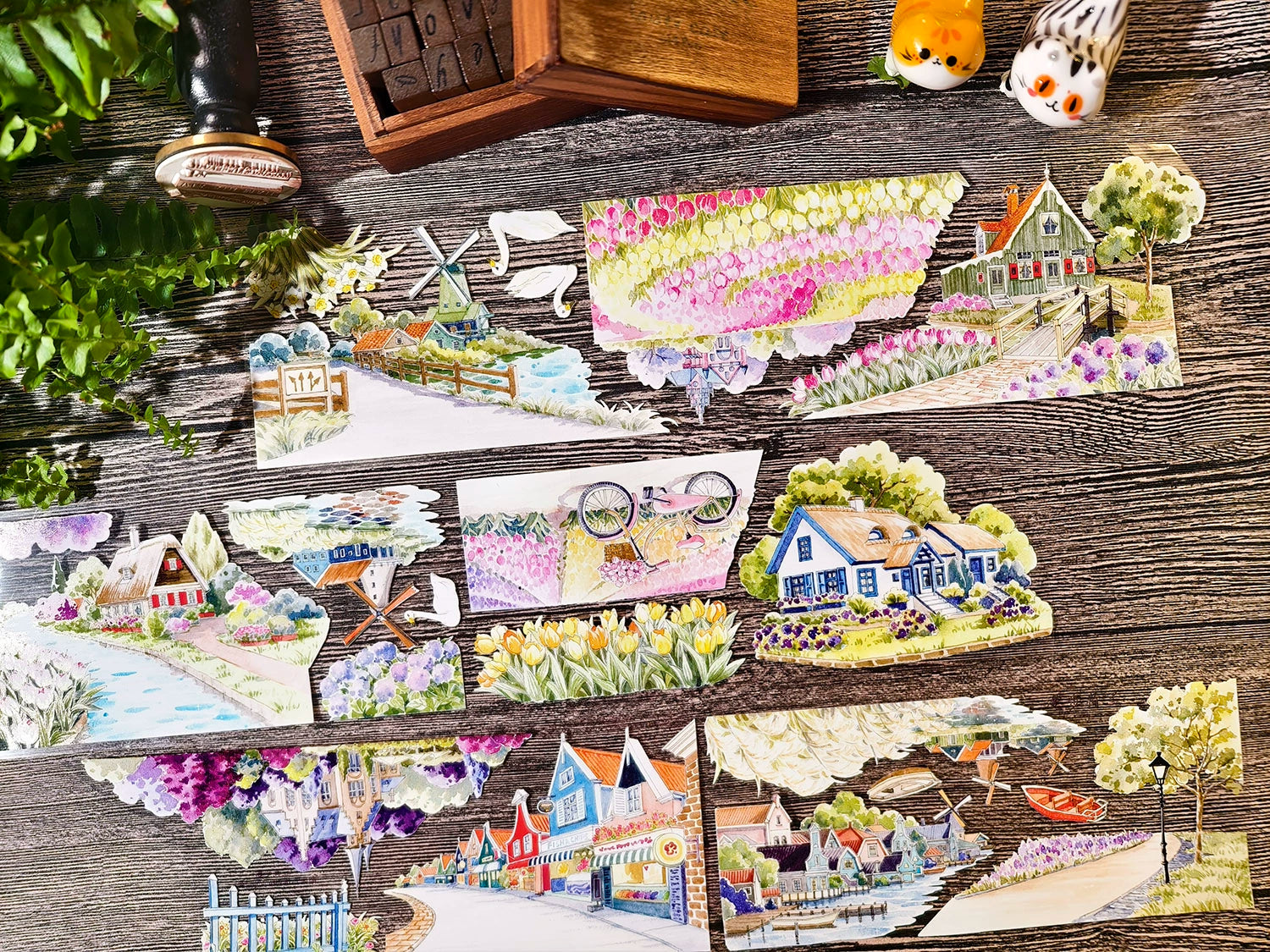 Strolling in Netherlands PET Tape