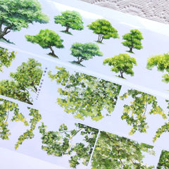 Trees with Leaves 1 PET Tape
