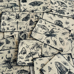 Vintage Butterfly Insect Forest Junk Journal Paper - 16 Sheets Black & White Background Paper for Scrapbooking