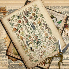 Vintage Botanical Book Pages Paper Pad - 10 Sheets 5.5" x 7" Aged Plant Scrapbook Decorative Paper
