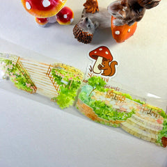Street Steps PET Tape