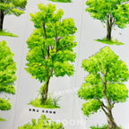 Summer Green Trees PET Tape JINGWUZHI