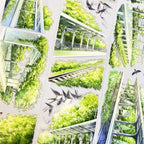 Sunlit Railway PET Tape JINGWUZHI