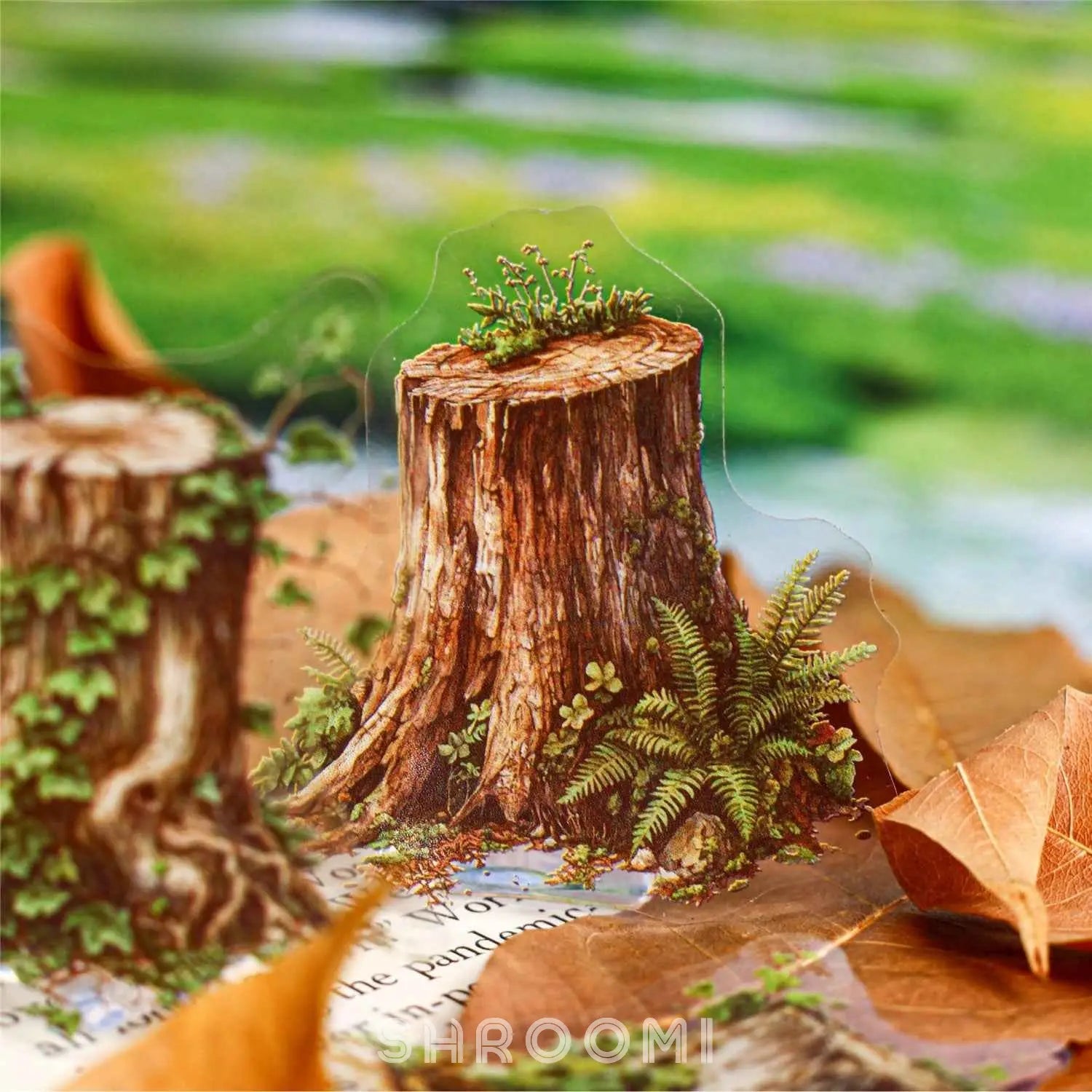 Tree Stump PET Stickers - 6 Styles - Shroomi