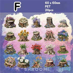 Tree Stump PET Stickers - 6 Styles - Shroomi