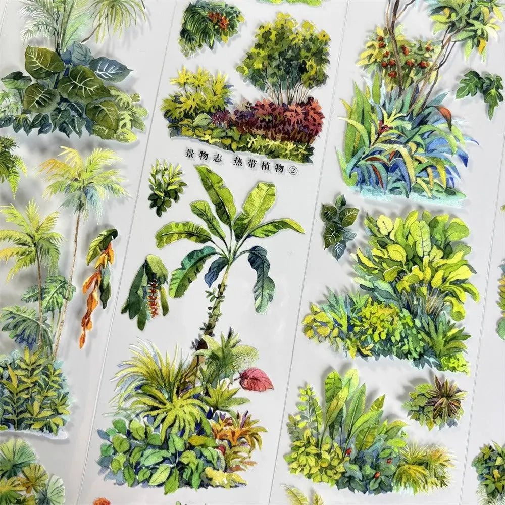 Tropical Plants PET Tape JINGWUZHI