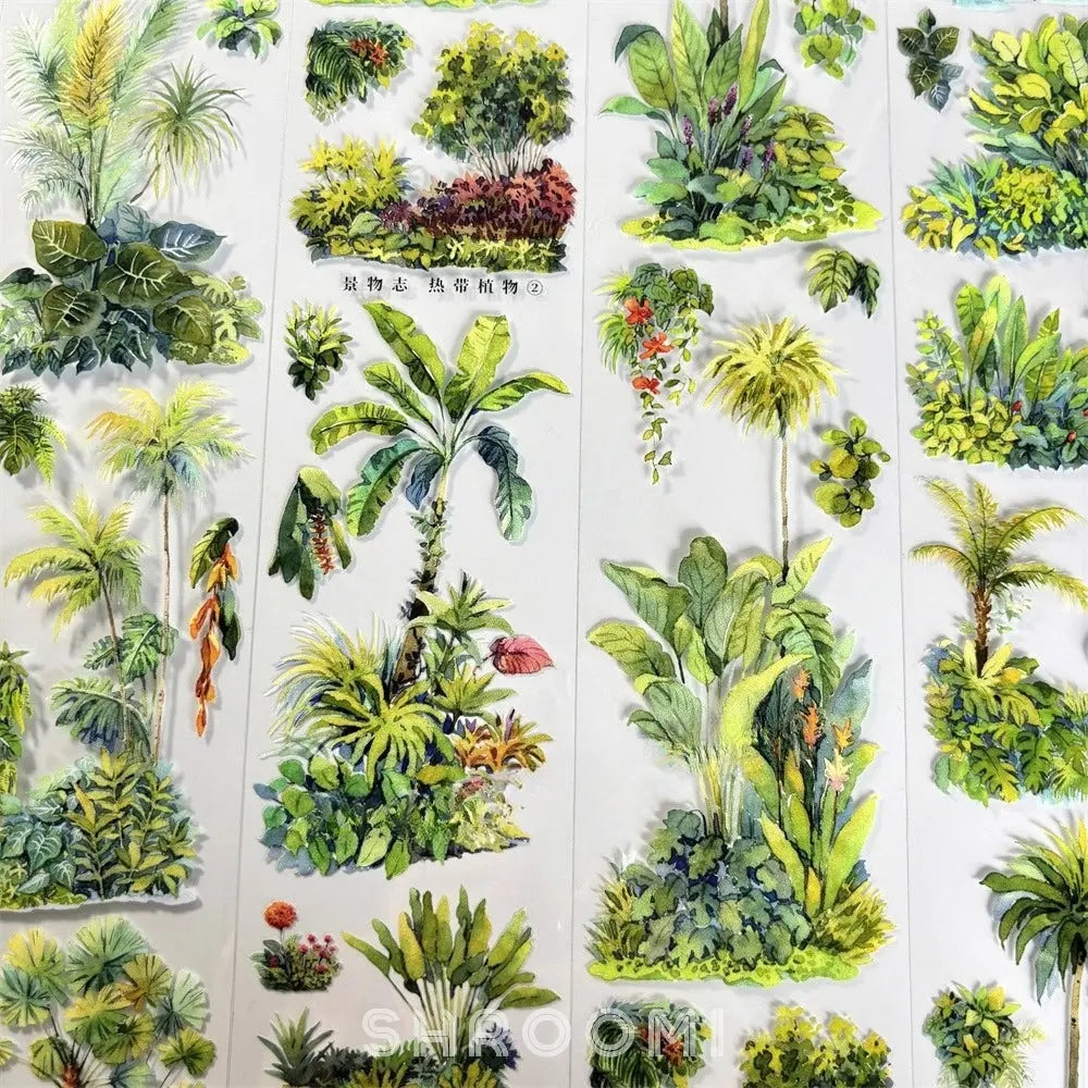 Tropical Plants PET Tape JINGWUZHI