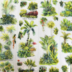Tropical Plants PET Tape JINGWUZHI