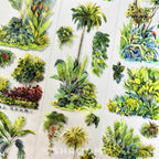 Tropical Plants PET Tape JINGWUZHI