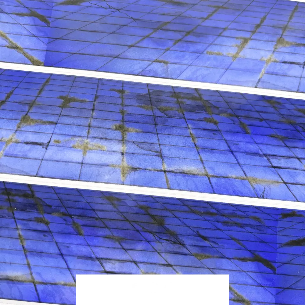 Twilight Pavement PET Tape - Shroomi