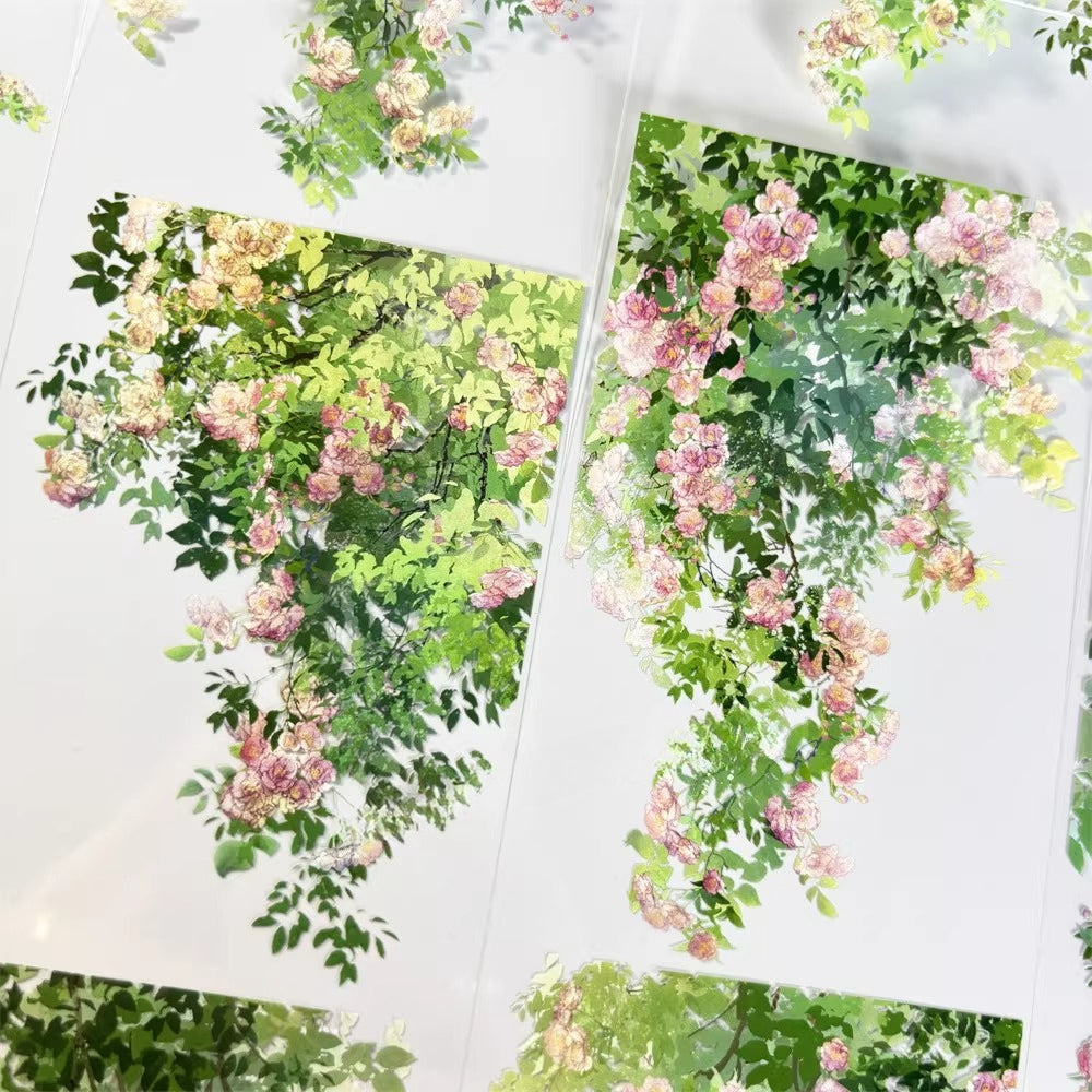 Swaying Roses PETテープ 7cm×1m | 滝のように流れるピンクのバラ園の風景