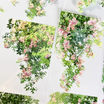 Swaying Roses PETテープ 7cm×1m | 滝のように流れるピンクのバラ園の風景