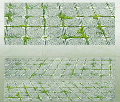 Landscape Washi Tape - Sky Grass Dreamscape PET Decorative Tape