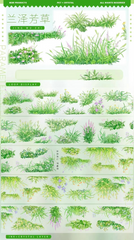 Vibrant Meadow Grass PET Tape showcasing lush wildflowers, grasses, and foliage on a clear background for crafting.