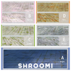 Pavement Collection Vol.1 - 5 Styles