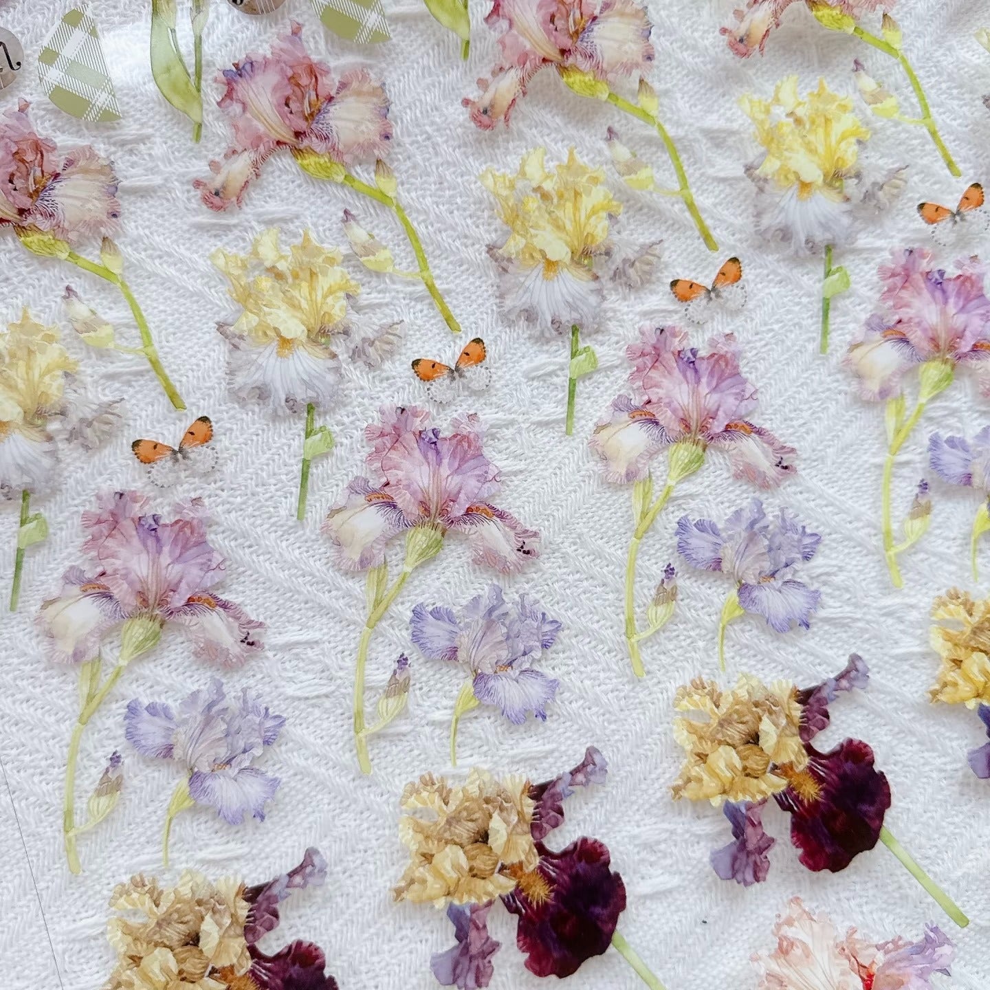 Iris Blooms PET Tape Iris Flower PET Tape 🌸 – Cute Floral Decorative Tape for Journaling, Scrapbooking & DIY Crafts