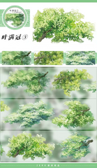 Trees with Leaves 3 PET Tape