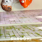 Pavement Collection Vol.1 - 5 Styles