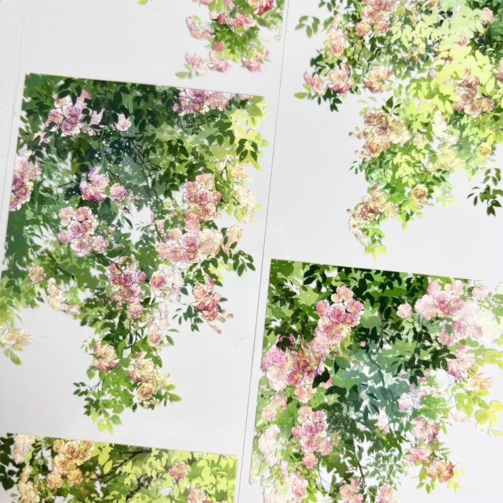 Swaying Roses PETテープ 7cm×1m | 滝のように流れるピンクのバラ園の風景
