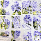 Jacaranda Lane PET Tape - Shroomi