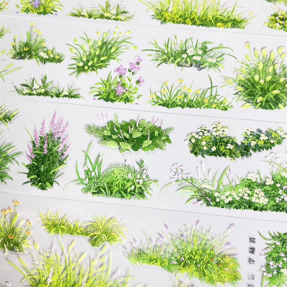 Meadow Grass PET Tape - Shroomi