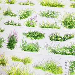 Meadow Grass PET Tape - Shroomi