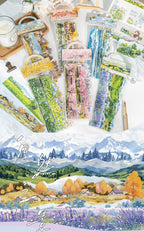 Natural Scenery Sticker Pack 6 Styles - Shroomi