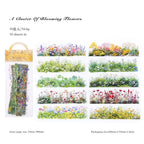 Natural Scenery Sticker Pack 6 Styles - Shroomi