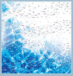 Ocean Ripple PET Tape - 3 Styles - Shroomi