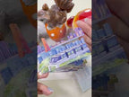 City Skyline PET