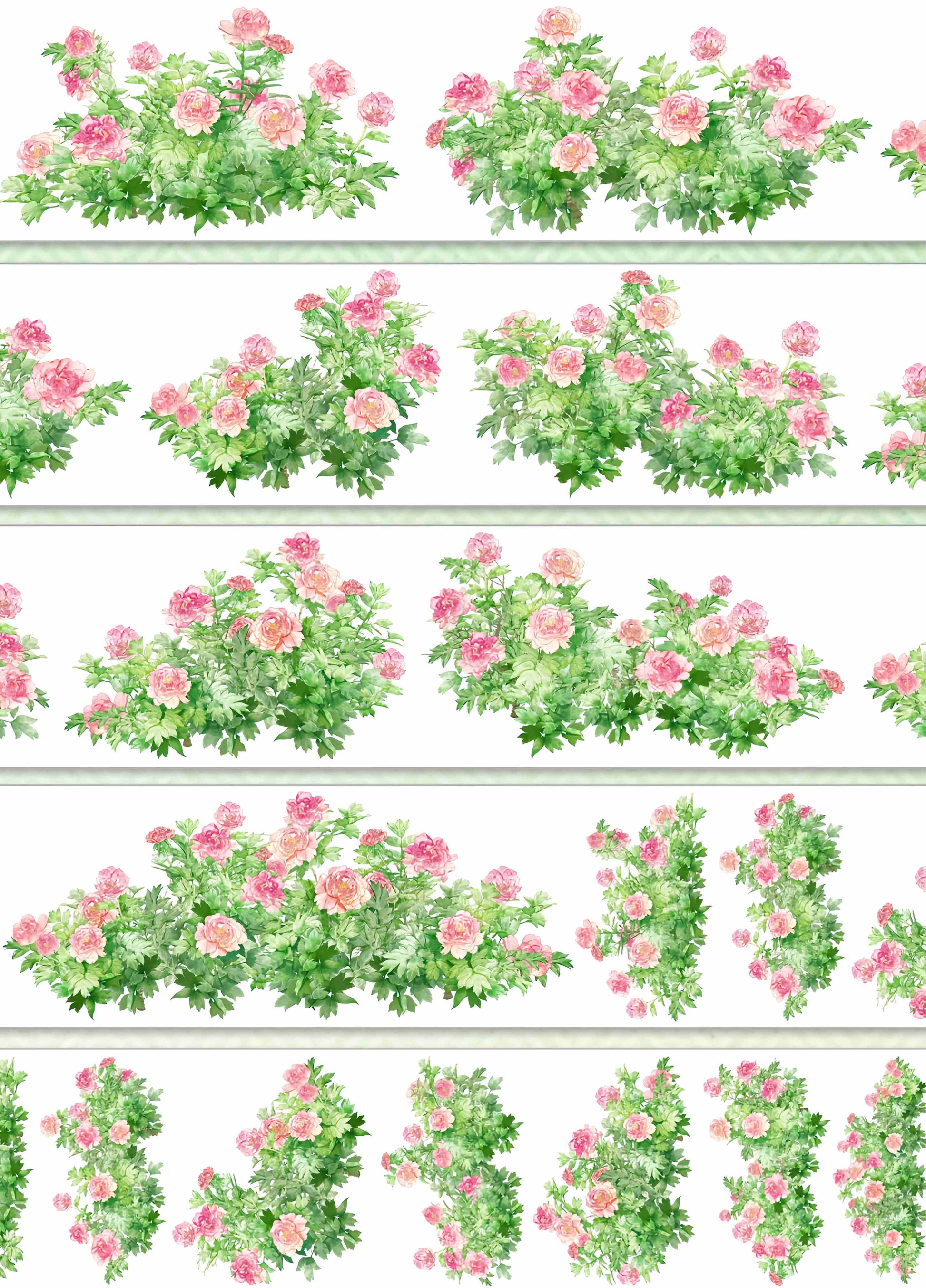 Peony blossom cluster design, roll view