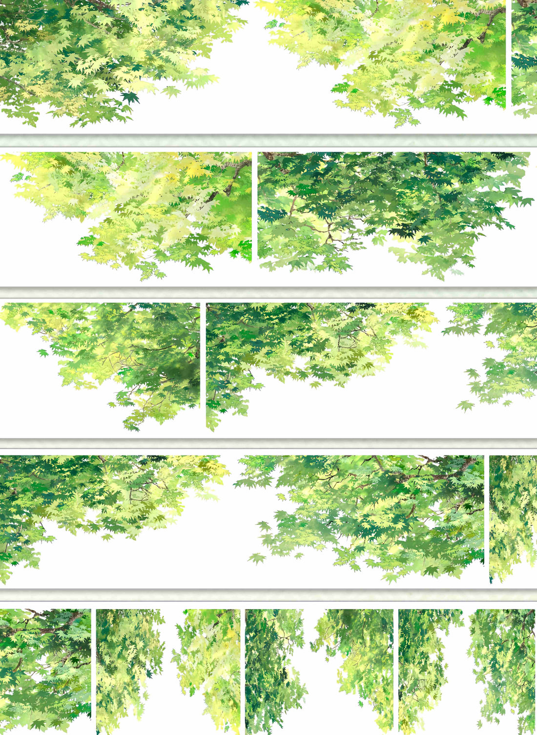 Lush green maple leaf canopy viewed from below