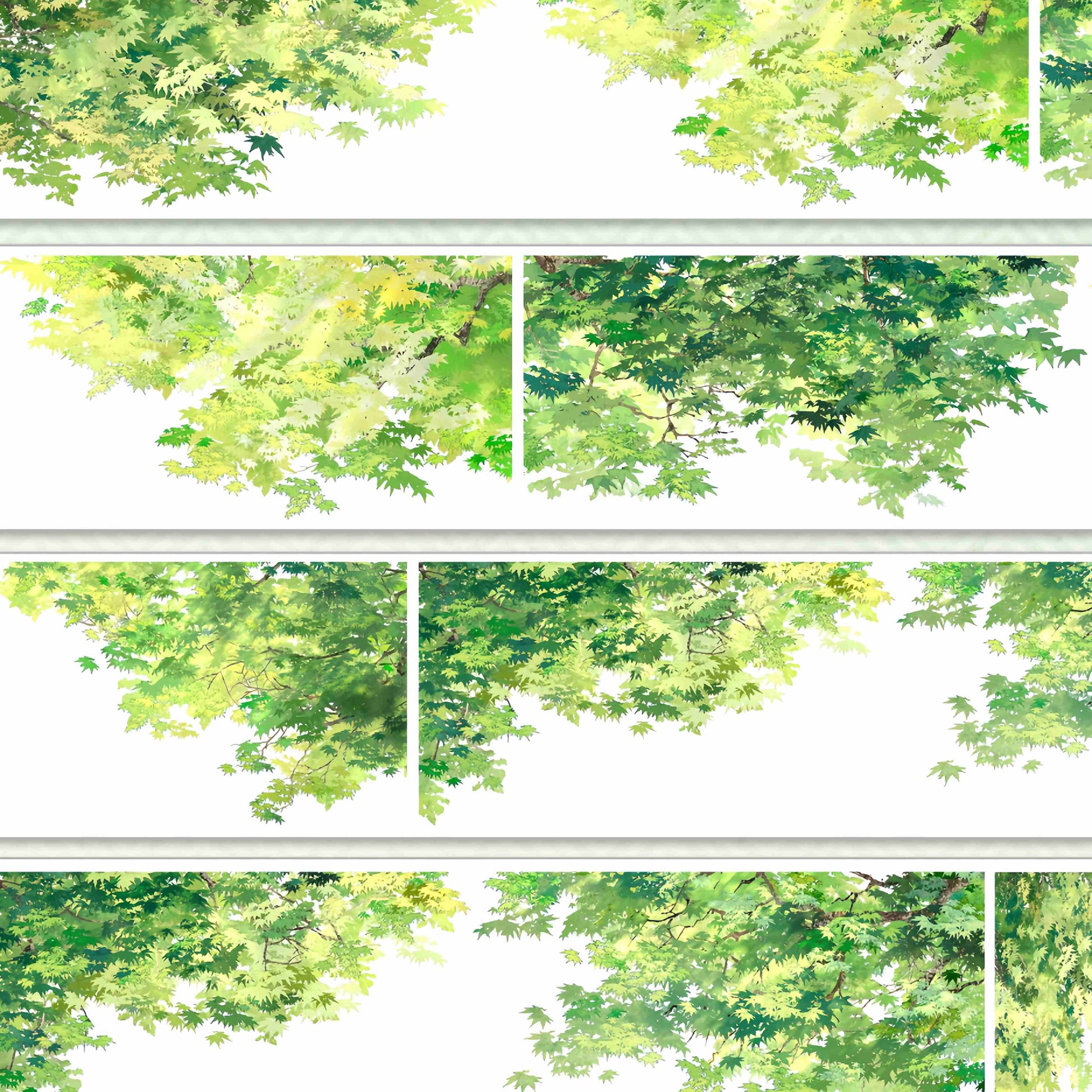 Lush green maple leaf canopy viewed from below