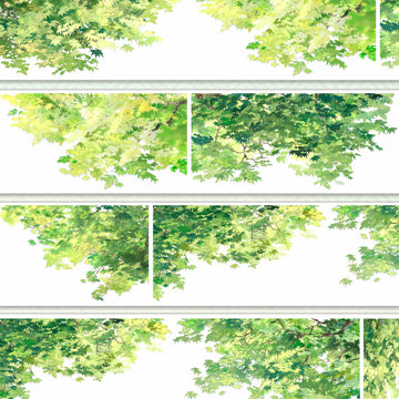 Lush green maple leaf canopy viewed from below