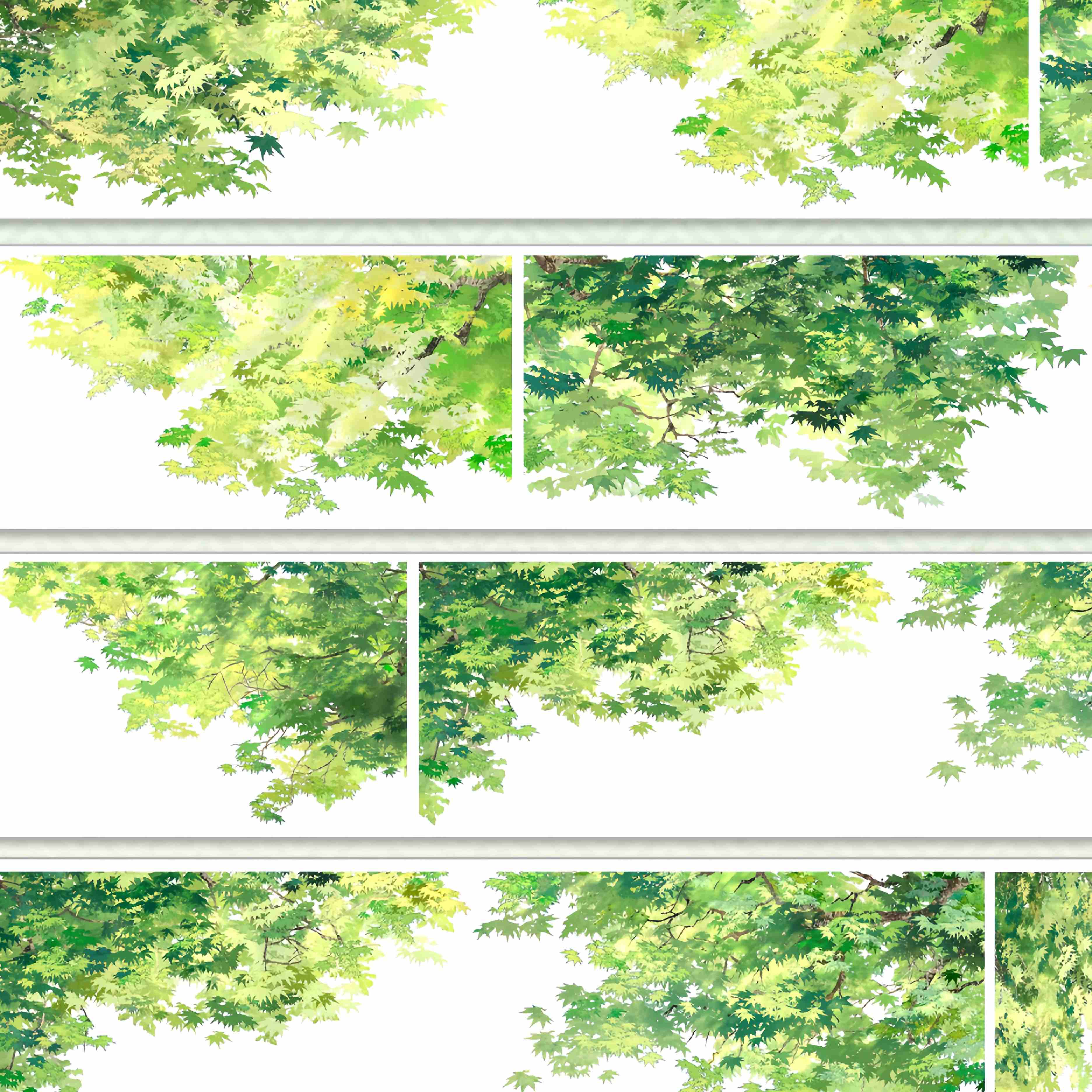 Lush green maple leaf canopy viewed from below