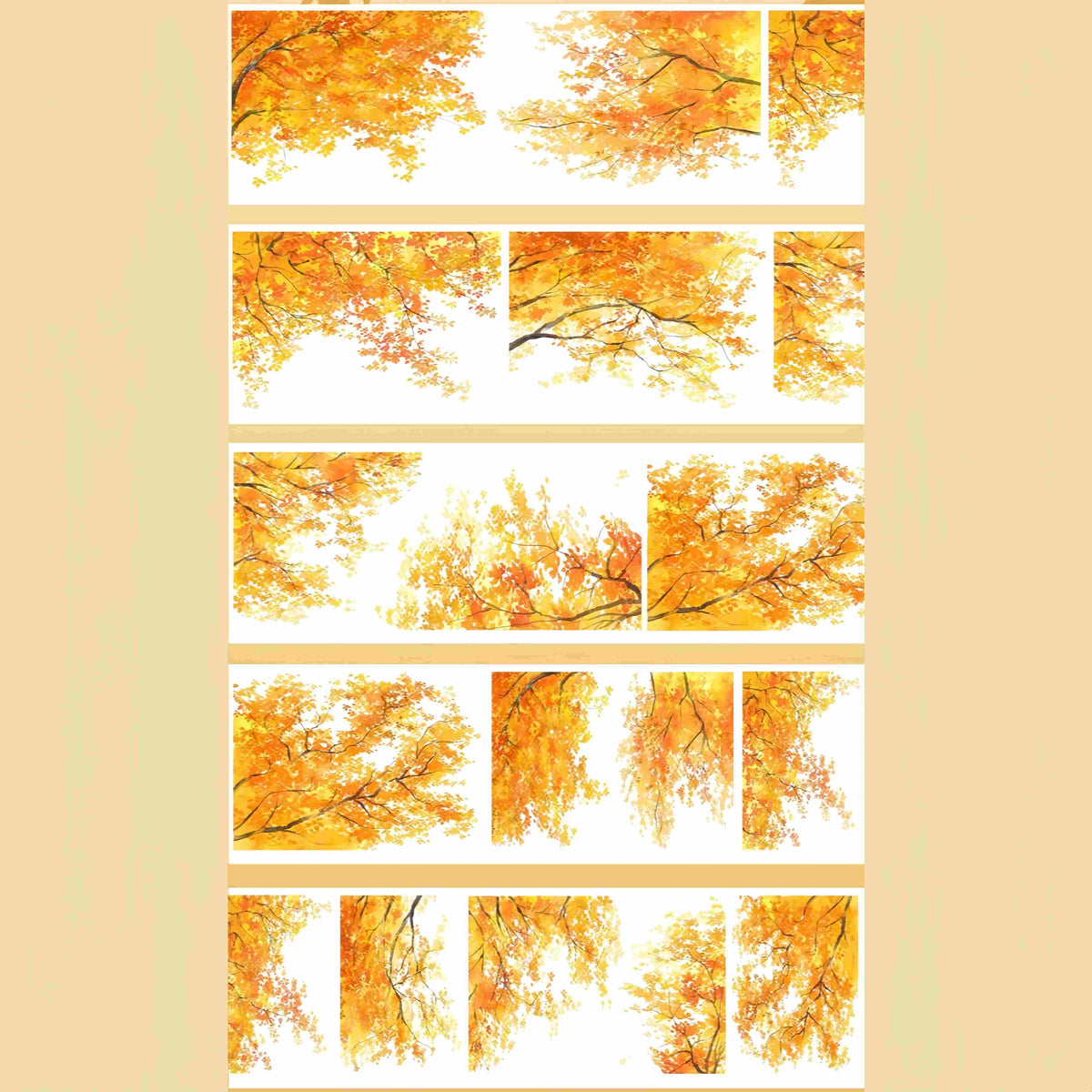 Golden autumn canopy PET tape featuring tree branches arching over a quiet path