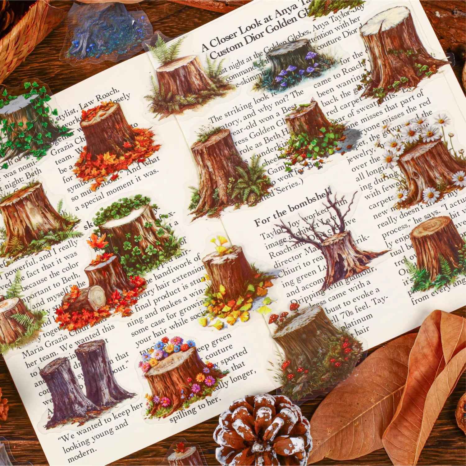 Tree Stump PET Stickers - 6 Styles - Shroomi